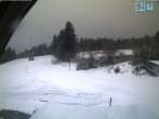 Archived image Webcam Ski scooter area 15:00