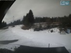 Archived image Webcam Ski scooter area 09:00