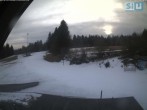 Archived image Webcam Ski scooter area 15:00