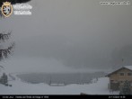 Archiv Foto Webcam Colle di Joux - Skipiste 13:00