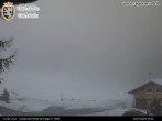 Archived image Webcam Colle di Joux ski run 15:00