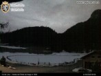 Archived image Webcam Colle di Joux ski run 01:00