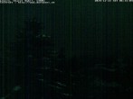 Archived image Webcam Chalet Sybil, Leysin 05:00