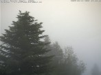 Archiv Foto Webcam Chalet Sybil 06:00