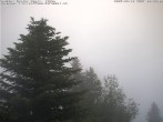 Archiv Foto Webcam Chalet Sybil 07:00