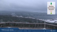 Archiv Foto Webcam Stausee Lipno 06:00