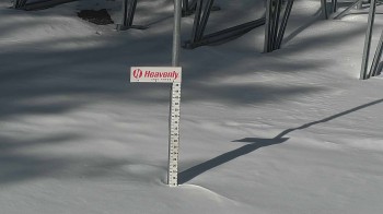 Heavenly Snow Stake