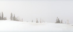 Aspen Snowmass: Elk Camp